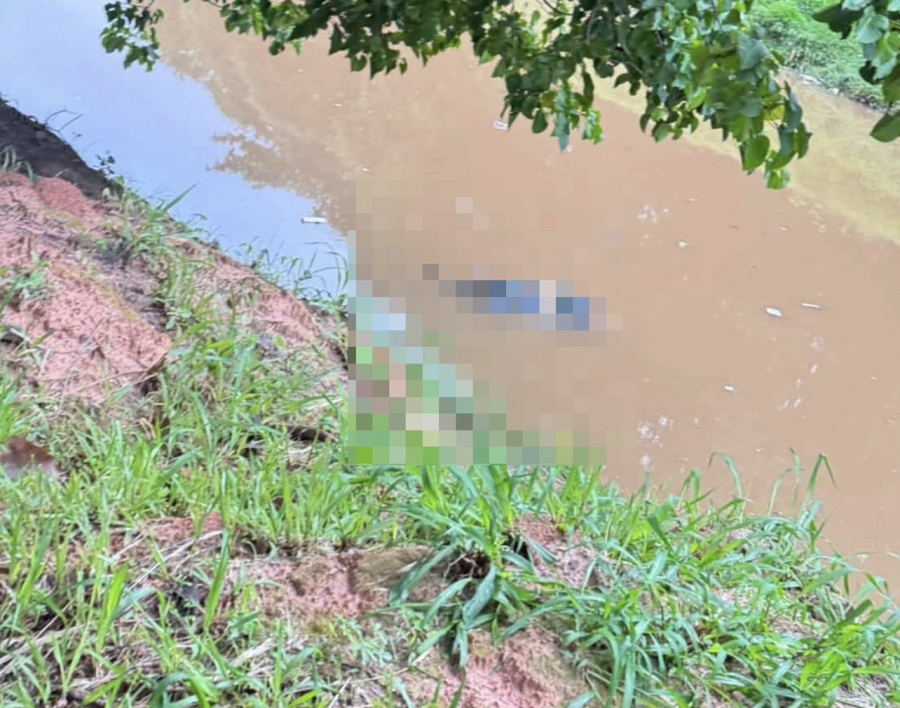 Corpo de homem é encontrado na Lagoa da Pampulha com perfurações na cabeça