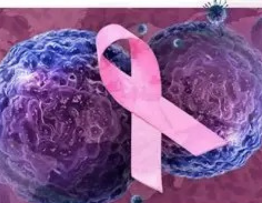 Dia Mundial do Câncer: Brasil pode registrar 780 mil novos casos por ano até 2028